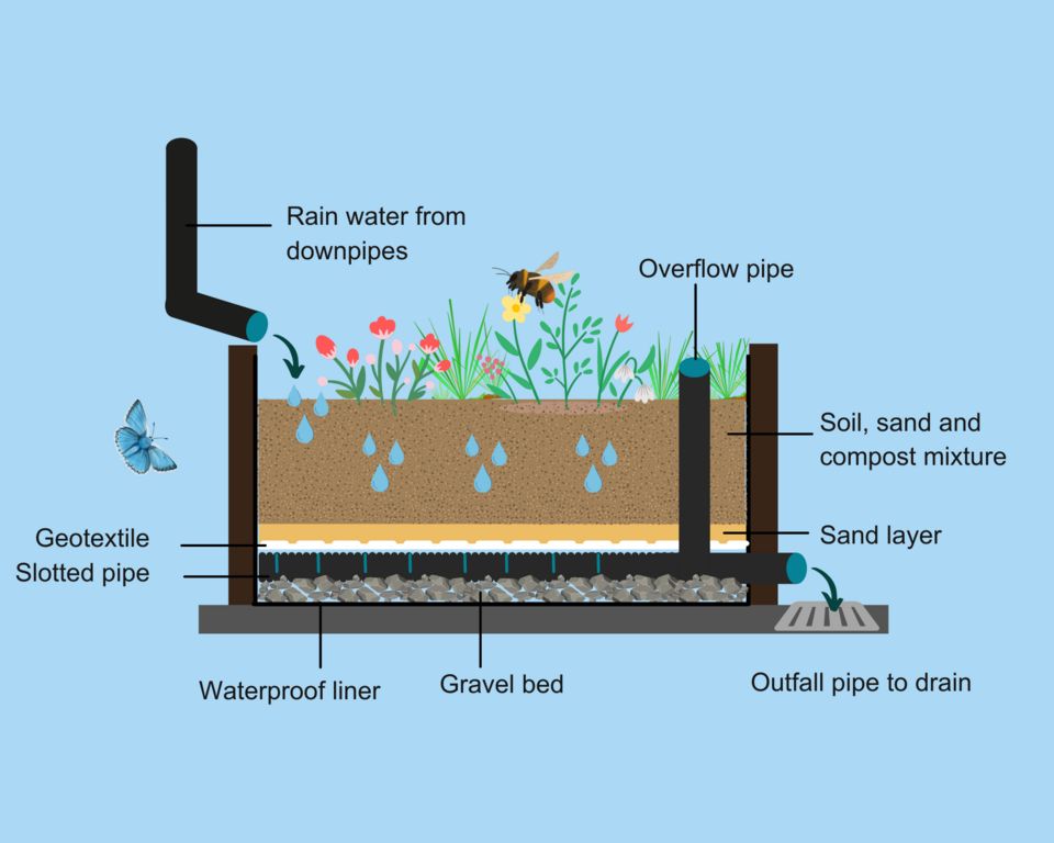 Rain Garden Schematic