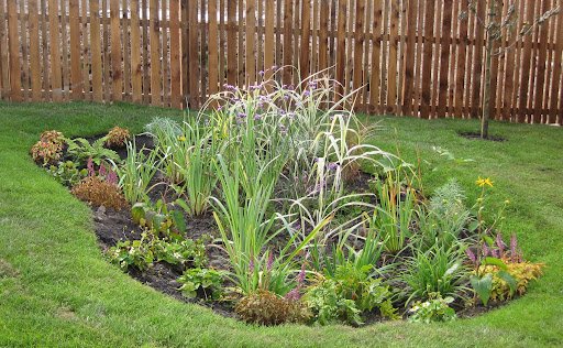 Rain Garden Complete
